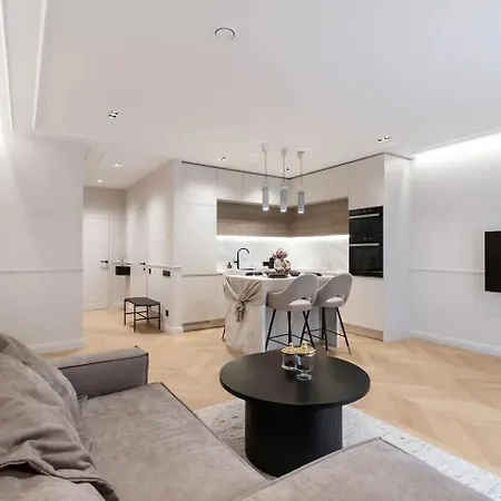 Spacious Luxury Apt With Terrace Old Town/paupys Apartment