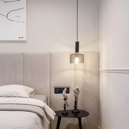 Spacious Luxury Apt With Terrace Old Town/paupys